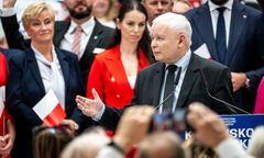 Afera wizowa PiS do rozliczenia. Reakcje na komisję śledczą