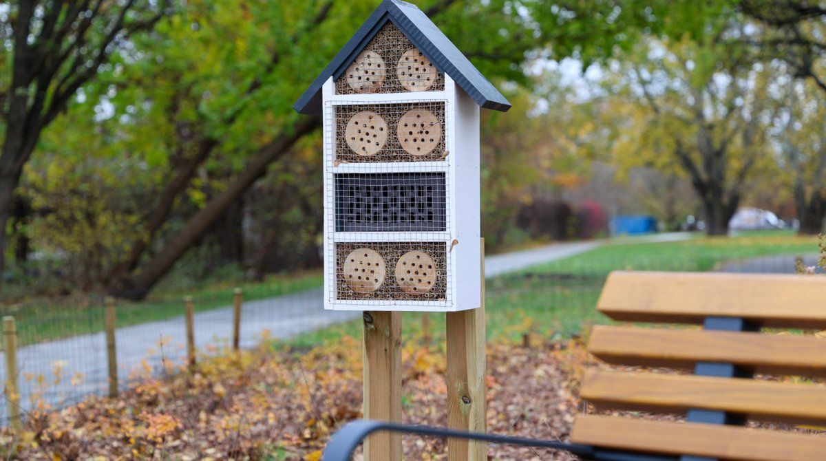 Warszawa: Mieszkańcy czekali trzy lata. Park kieszonkowy w okrojonej wersji