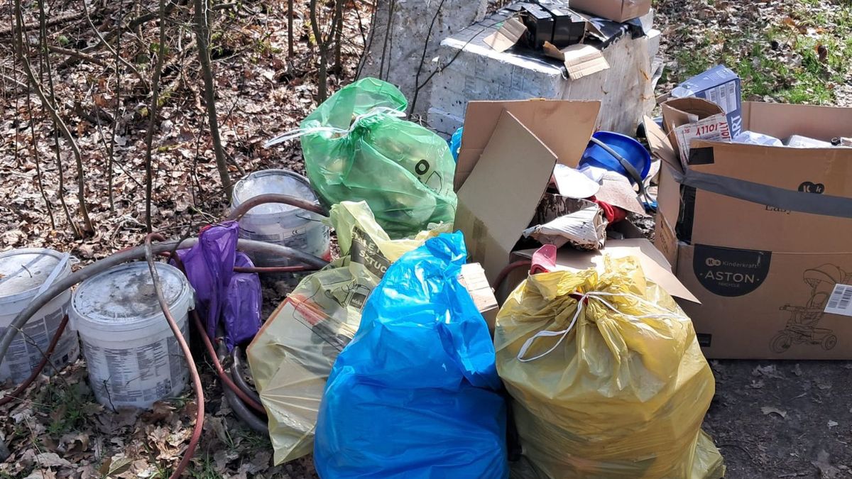 Jest kara za zaśmiecenie lasów