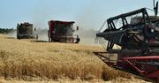 Masz kombajn? Rolnicy szukają ludzi. Oto stawki za koszenie