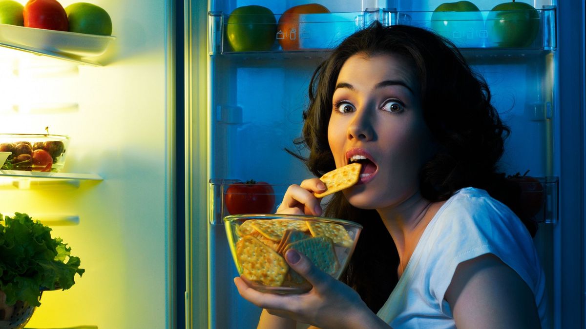 Jak to działa? Cz. 3: lodówka 1