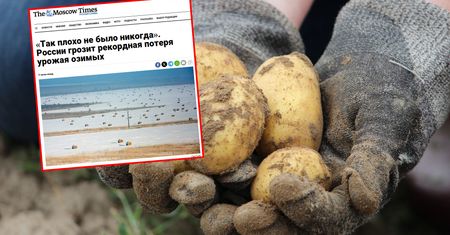 "Nigdy nie było tak źle". Rosjanie mówią o ogromnych stratach