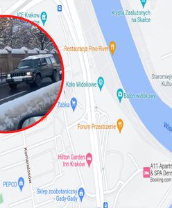 Niecodzienny widok w Krakowie. Jest nagranie