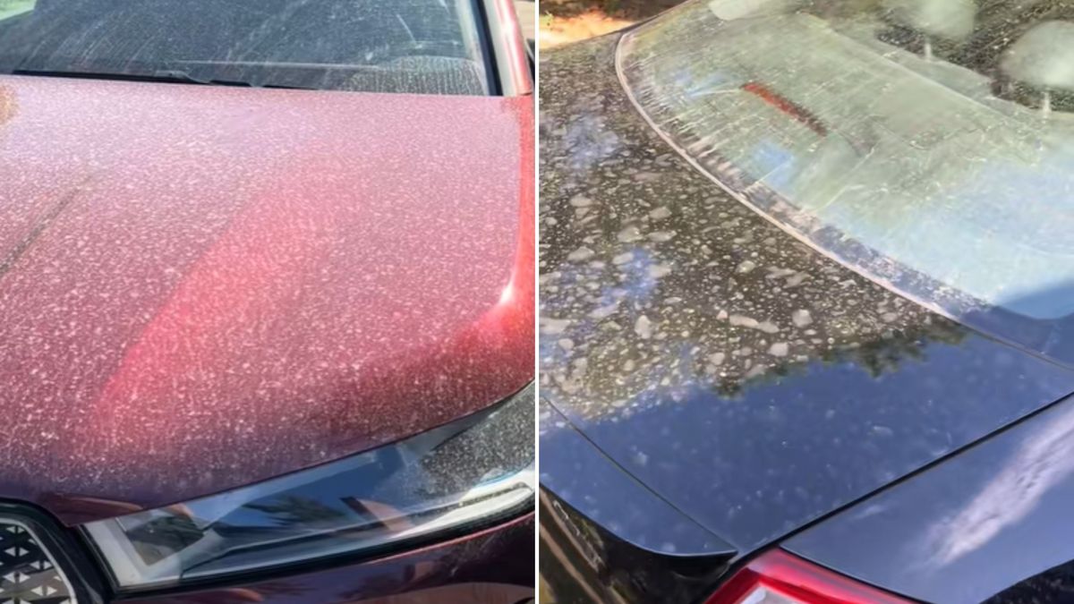 Kierowcy pokazali brudne auta.