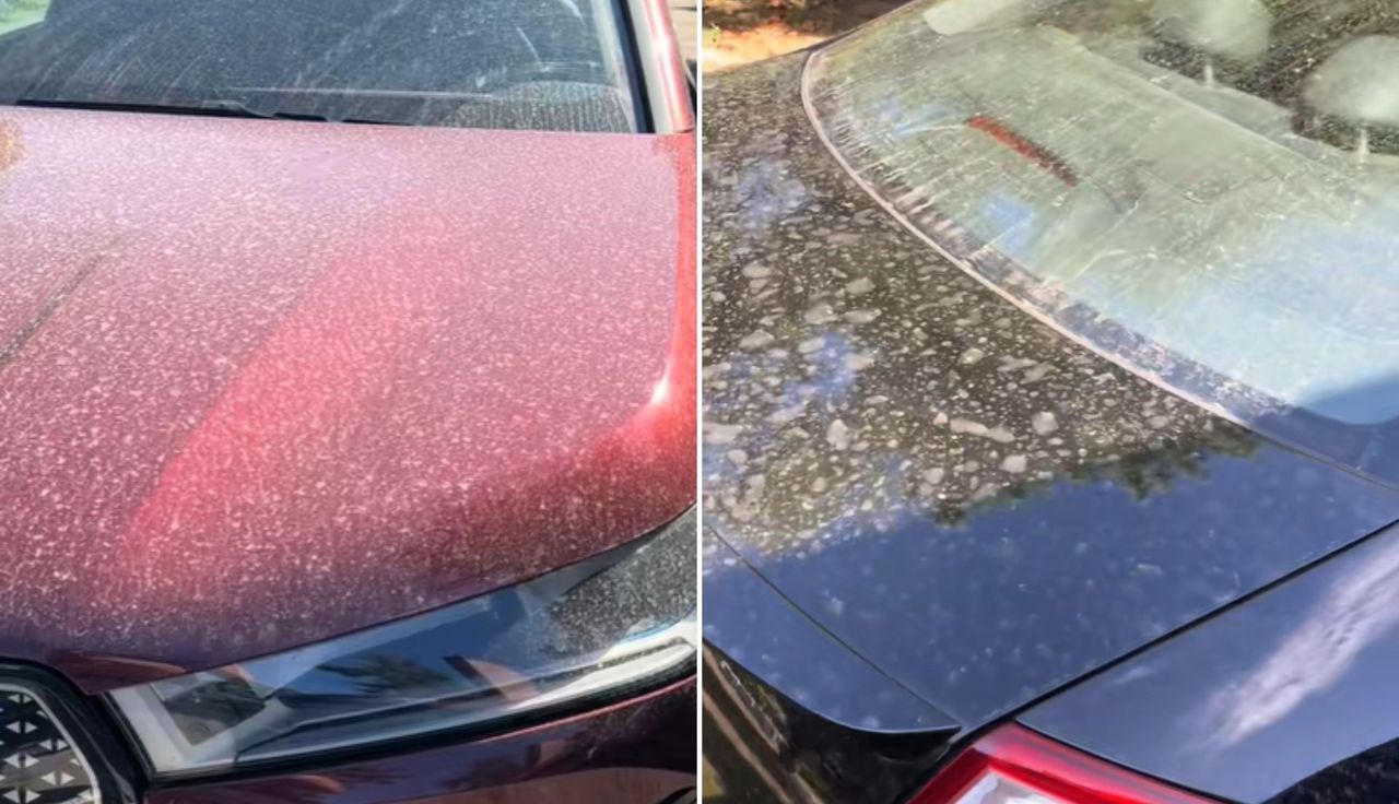 "Masakra". Pokazali auta. Nagrania krążą po sieci