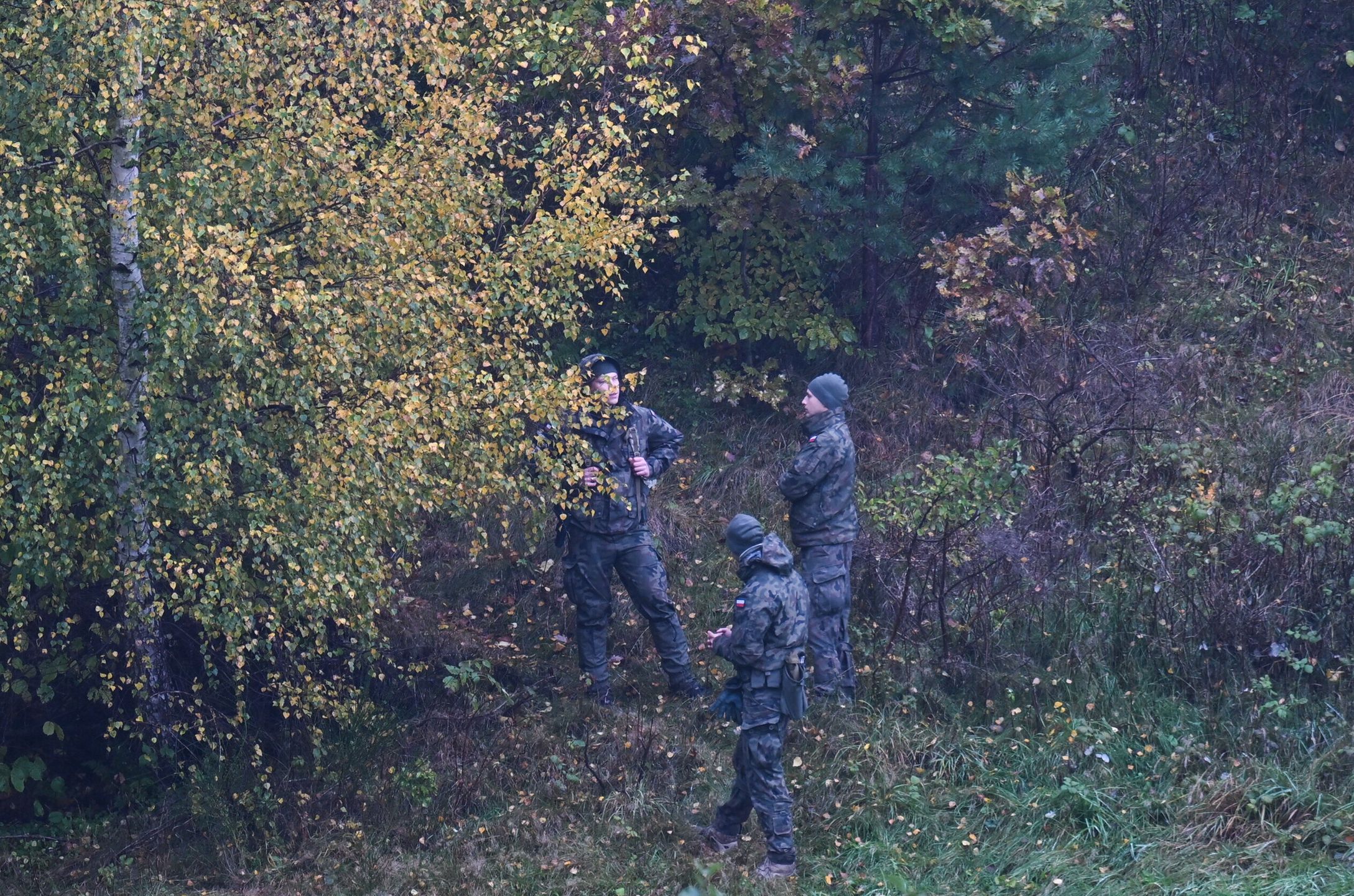 Gdynia, 26.10.2023. Kolejny dzień poszukiwań 44-letniego Grzegorza Borysa na terenie Trójmiejskiego Parku Krajobrazowego, w rejonie Chwarzna - Wiczlina, Gdyni, 26 bm. Mężczyzna podejrzany jest o zabójstwo swojego 6-letniego syna. Do zbrodni doszło 20 bm. rano w bloku przy ul. Górniczej w Gdyni Fikakowie. (ad) PAP/Adam Warżawa