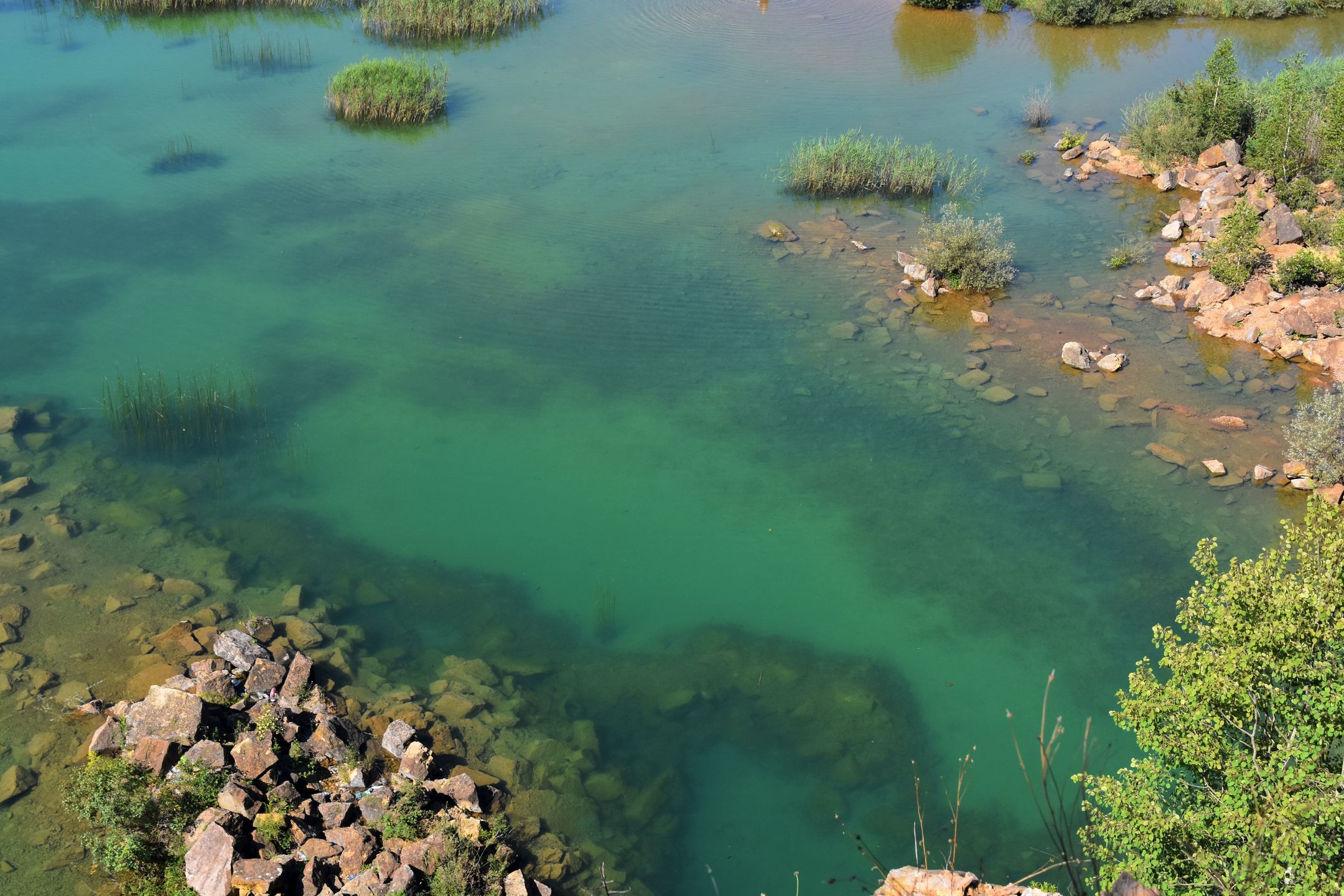 Zalany kamieniołom to tylko jedna z wielu możliwych lokalizacji do nurkowania w Polsce 