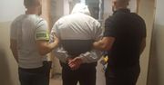 Gliwice: "Czemu uciekasz? - Bo... bo mnie gonicie". Prawda okazała się inna. Mężczyźnie grozi więzienie