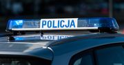 Skrórzew: Czy widziałeś tę budkę z lodami? Doszło do nietypowej kradzieży