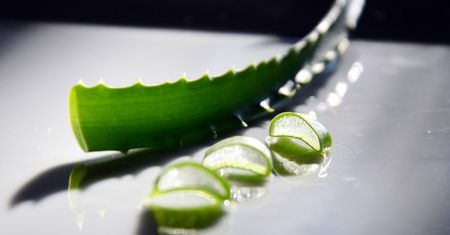 Hydrolat aloesowy - co to jest i do czego służy, jak stosować, gdzie kupić