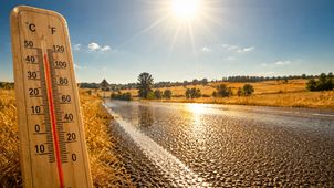 Rekord temperatury w Polsce: 40,5°C w Słubicach. Jak upał uderzył w Wielkopolskę i co czeka nas w połowie lipca