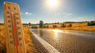 Rekord temperatury w Polsce: 40,5°C w Słubicach. Jak upał uderzył w Wielkopolskę i co czeka nas w połowie lipca