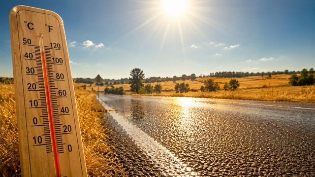 Rekord temperatury w Polsce: 40,5°C w Słubicach. Jak upał uderzył w Wielkopolskę i co czeka nas w połowie lipca