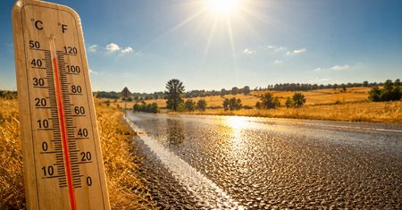 Rekord temperatury w Polsce: 40,5°C w Słubicach. Jak upał uderzył w Wielkopolskę i co czeka nas w połowie lipca