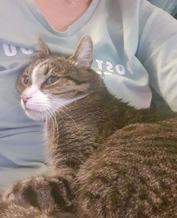 A mnie jest tu tak dobrze, jak u mamy!