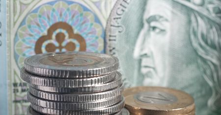 Polska waluta jeszcze zaskoczy? Odważna prognoza eksperta