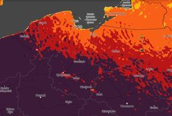 Aż bordowo. Są alerty dla całej Polski w sprawie pożarów