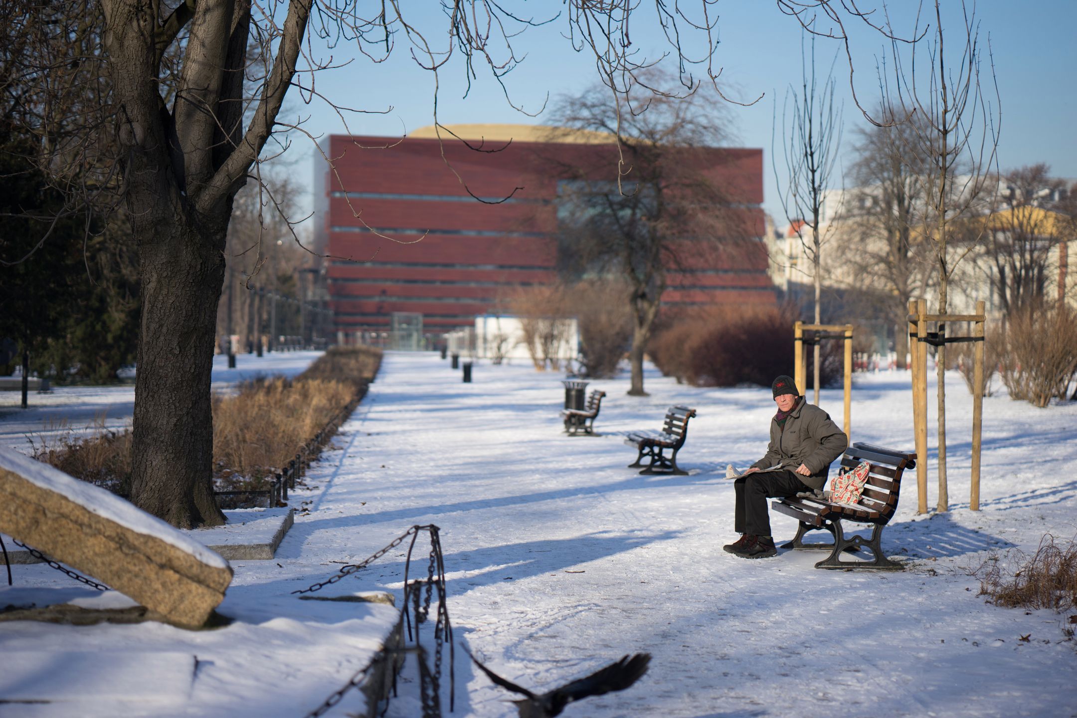 Zeiss Batis 85 mm f/1.8 - test portretówki do Sony A7 91