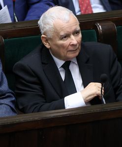 "Siadaj, pała". Ból głowy dla PiS po nowym sondażu