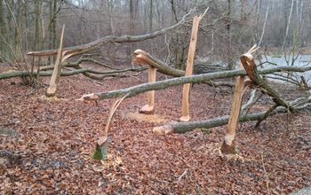 Leśnicy pokazali zdjęcie. Szok, kto za tym stoi