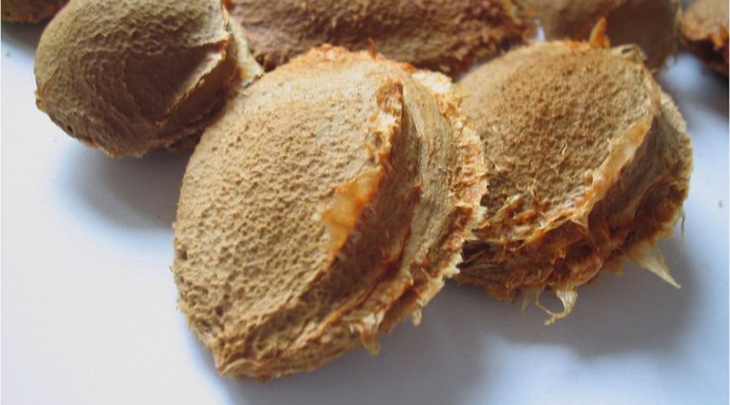 Pestki moreli zjedzone w większych ilościach mogą doprowadzić do śmierci