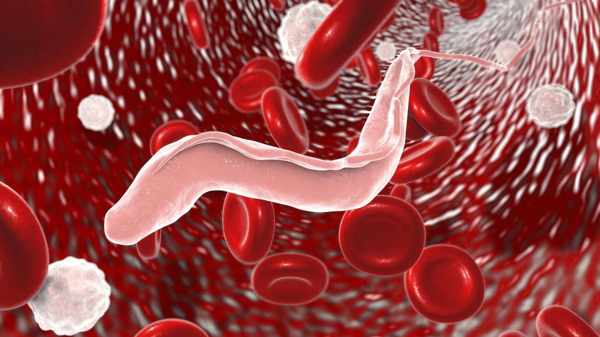 Na obecność pasożytów w organizmie wskazuje wiele objawów