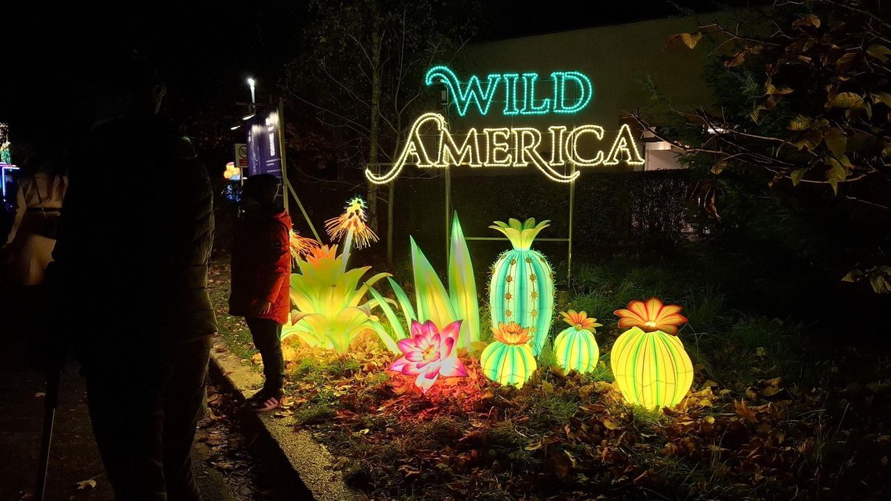 Wrocław: "Dzika Ameryka" - wystawa Garden of Lights rozświetla ZOO