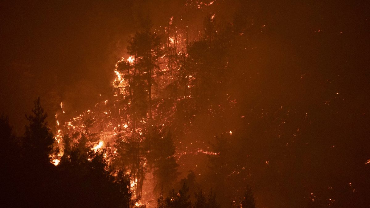 W pożarach zginęły 42 osoby.