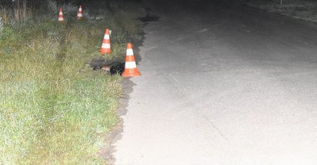 Jadąc z dużą prędkością, stracił panowanie nad autem. Nie żyje potrącony 13-latek