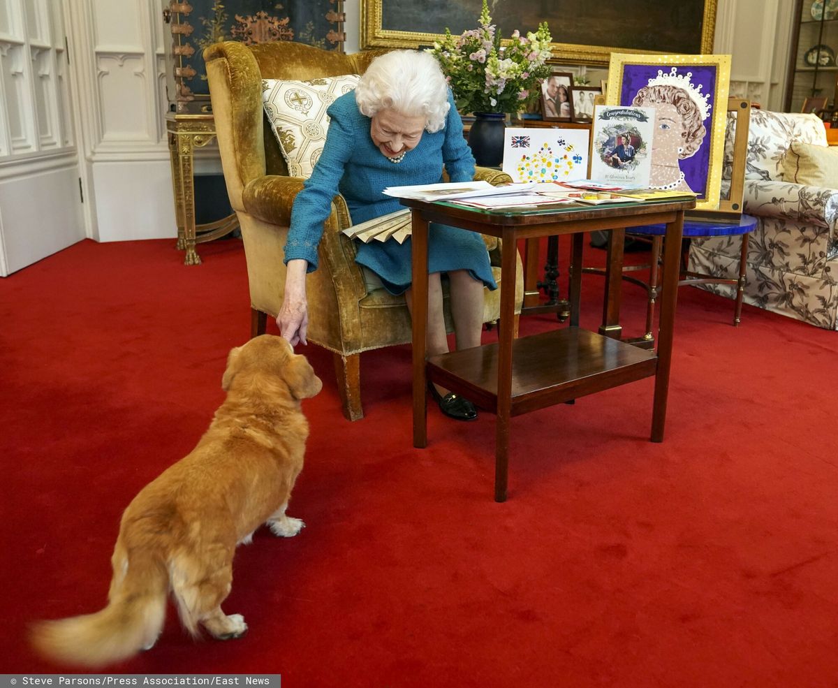 Królowa Elżbieta II z ukochanym psem