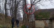 Uciekał przed policją. Wszedł na dach, później na drzewo