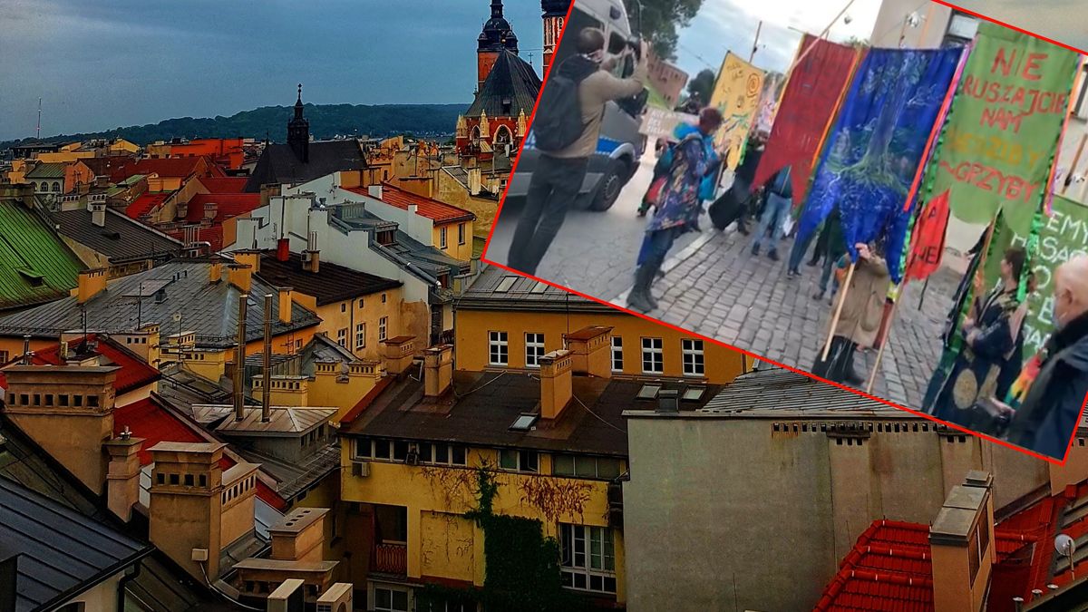 Protest w Krakowie. "Nie oddamy Bieszczad piłom".