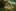 Pierwsza galeria z Tropico 5