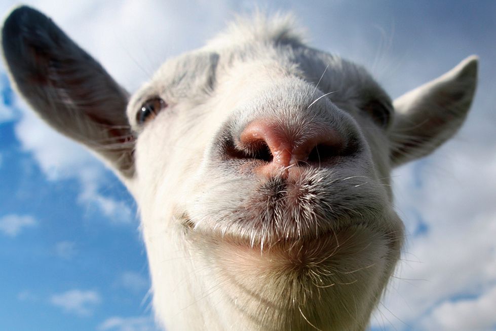 Goat Simulator — koza powiadasz?