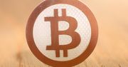Google ostrzega przed Flashem w wynikach wyszukiwania, wprowadza przelicznik BTC