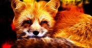 Firefox 34 wprowadza komunikator Hello i odświeżony interfejs na Androidzie