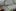 Microsoft HoloLens sprawi, że lemingi będą biegać po naszych domach