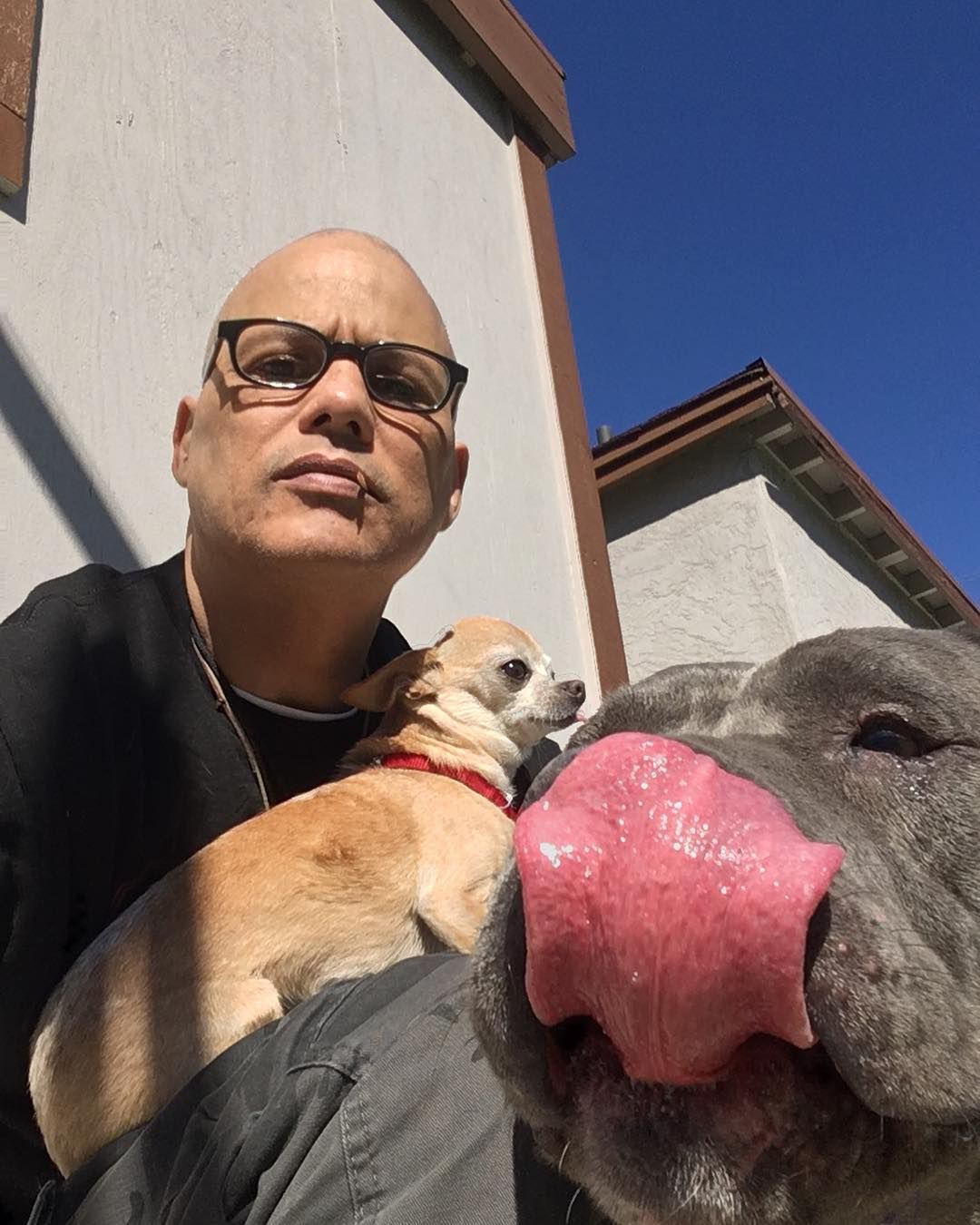 16 letni Syn David Labrava popełnił samobójstwo