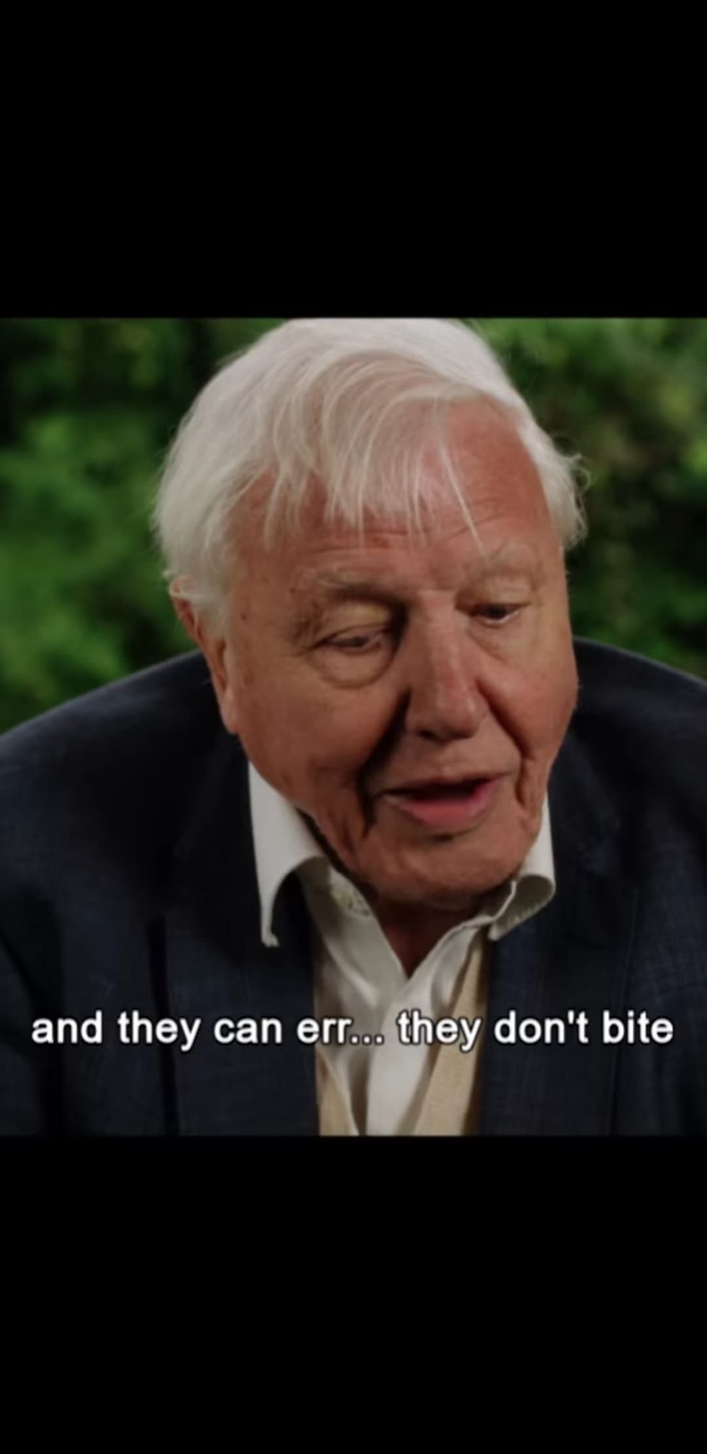 Wywiad dzieci Kate i Williama z sir Davidem Attenborough