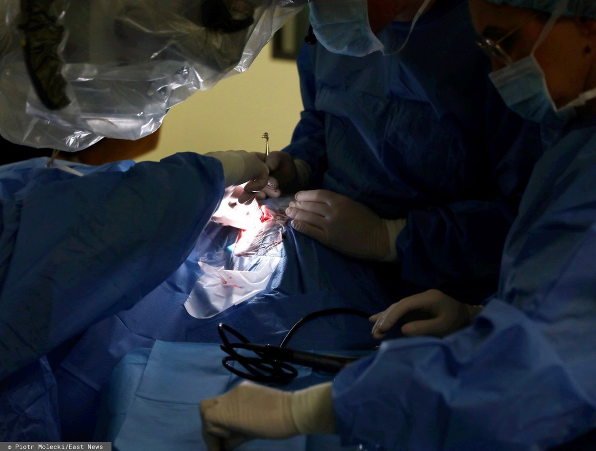 Operacja przebieła pomyślnie (East News)