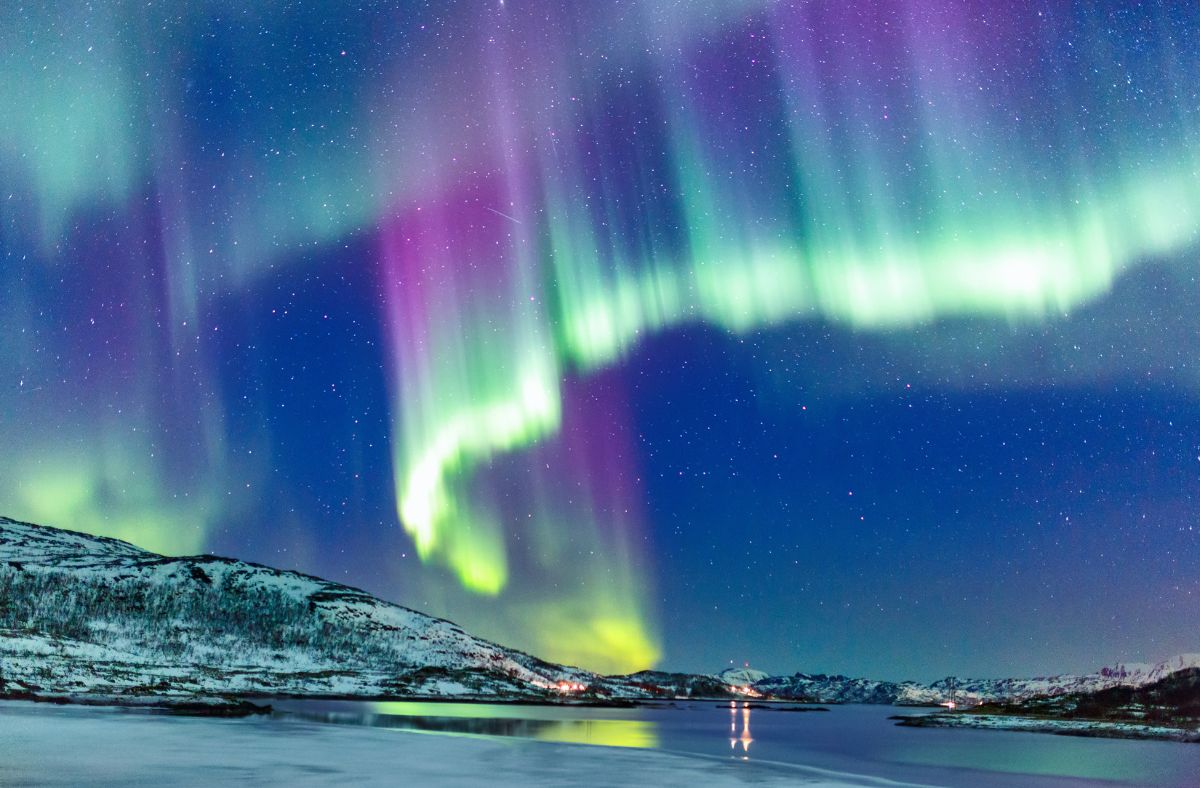 The cat did not appreciate the northern lights? His reaction is shocking