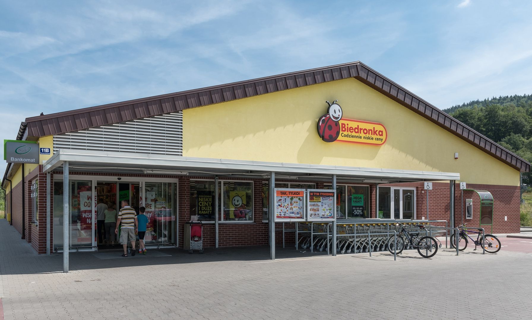 Tulipany to jedne z najpopularniejszych kwiatów wręczanych z okazji Dnia Kobiet