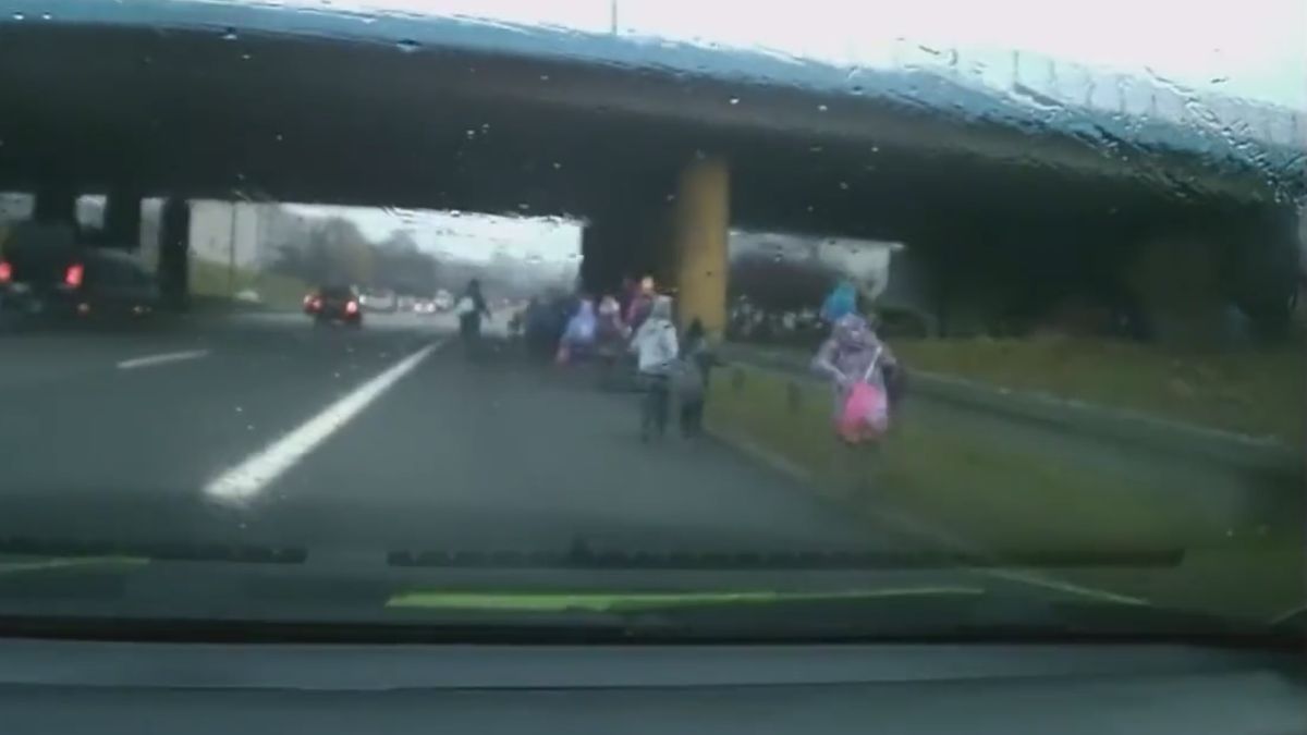 Kierowca natrafił na grupę tuż po wyjeździe z zakrętu