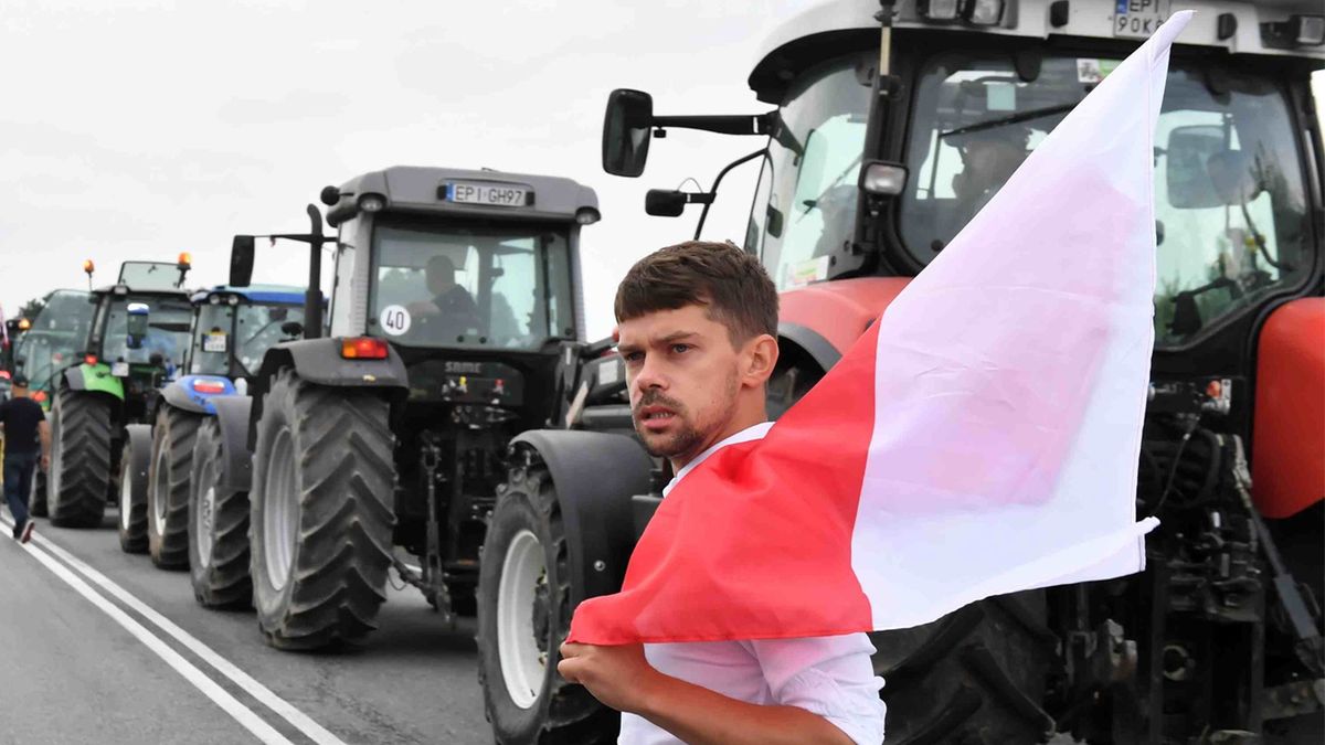 Lider Agrounii Michał Kołodziejczak starł się z dziennikarką TVP