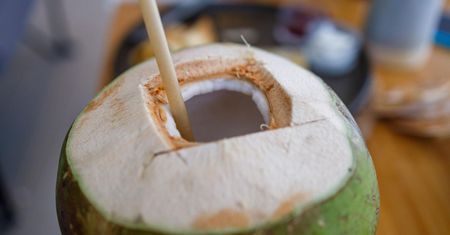 Woda kokosowa - naturalny izotonik i sekret zdrowego ciała czy przereklamowany napój? Poznaj prawdę