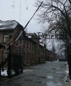 Rocznica wyzwolenia obozu. Muzeum Auschwitz o szczegółach uroczystości