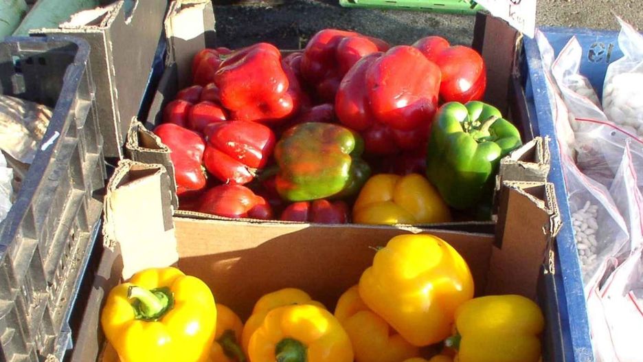 Na Targowisku Miejskim w Inowrocławiu cena papryki, głównie czerwonej, najbardziej wartościowej ze wszystkich gatunków, wzrosła z 5 do 10 zł za kilogram