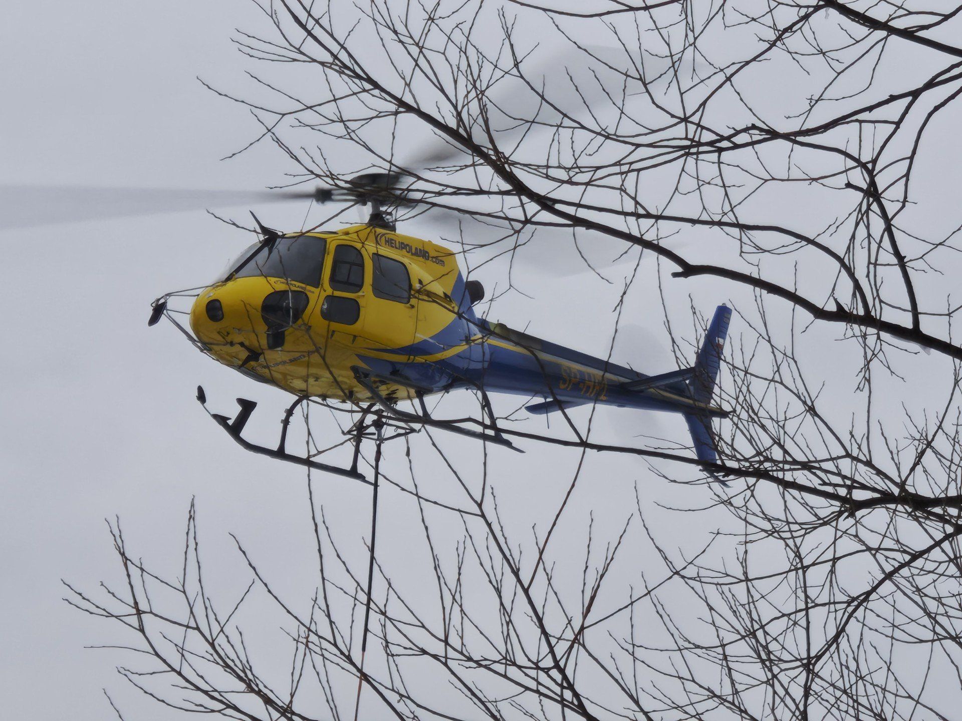 Transport lotniczy wykorzystywany w poniedziałek przez Valeo Chrzanów