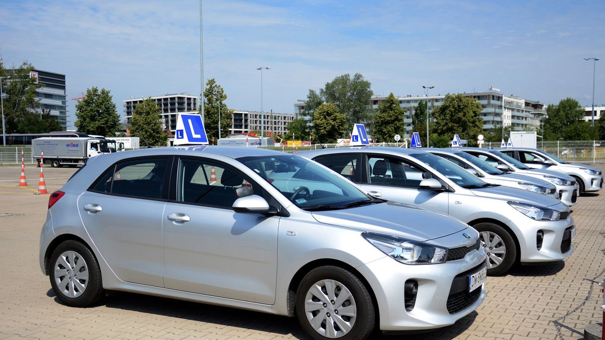 Kolejny protest egzaminatorów WORD. Zdjęcie ilustracyjne