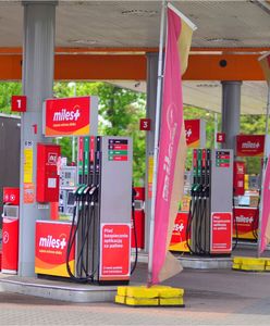 Wraca pomysł zakazu alkoholu na stacjach. Branża: paliwo może zdrożeć